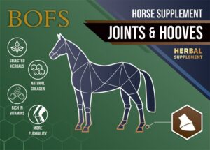 JOINTS & HOOVES